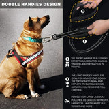 Reflective Dog Leash - Ivory Joy